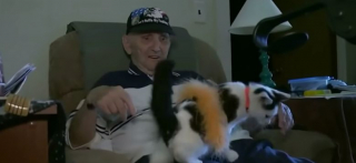 Illustration de l'article : Un chat sauve la vie de son propriétaire de 84 ans, coincé au sol pendant 16 heures après une chute