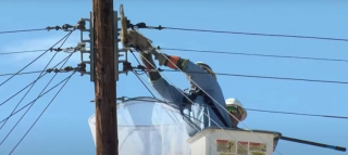 Illustration de l'article : Une chatte aventureuse escalade un poteau électrique et se retrouve coincée à son sommet