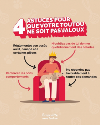 Illustration de l'article : Apr&egrave;s avoir s&eacute;duit les Fran&ccedil;ais, la plateforme Emprunte Mon Toutou part &agrave; la conqu&ecirc;te de l&rsquo;Europe