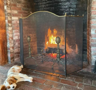 Illustration de l'article : 14 photos de chiens se prélassant auprès du doux feu de la cheminée