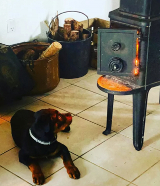 Illustration de l'article : 14 photos de chiens se prélassant auprès du doux feu de la cheminée