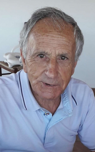 Illustration de l'article : Un chien retrouve la tombe de son maître et parcours chaque jour plusieurs kilomètres pour s’y allonger