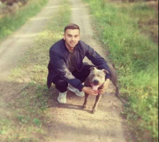 Illustration de l'article : Une femme change sa perception des Pitbulls après que celui de son voisin lui ait sauvé la vie