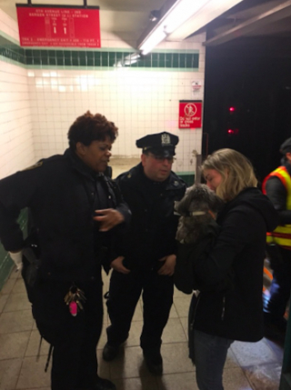 Illustration de l'article : Une petite chienne s'échappe et se perd dans le métro, l’équipe de sauvetage met tout en œuvre pour la sauver