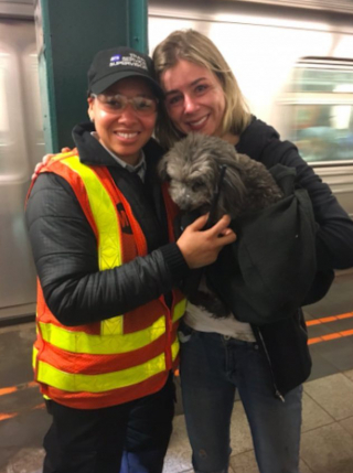 Illustration de l'article : Une petite chienne s'échappe et se perd dans le métro, l’équipe de sauvetage met tout en œuvre pour la sauver