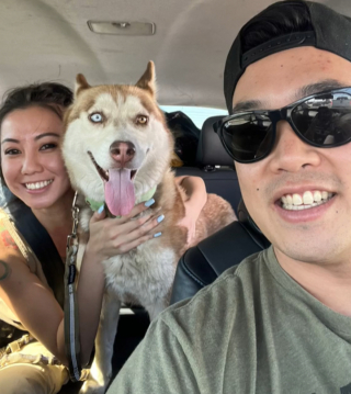 Illustration de l'article : Ils adoptent une chienne et se retrouvent avec 5 chiots supplémentaires, car elle était enceinte