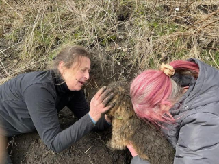 Illustration de l'article : L'intervention héroïque d'une ancienne policière pour sauver un chien pris au piège dans un terrier