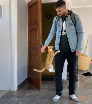 Illustration de l'article : Ce chat réserve le plus adorable des accueils à son humain chaque fois qu'il rentre à la maison (vidéo)