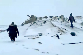 Illustration de l'article : La situation de chiots abandonnés dans un dépotoir enneigé semblait désespérée jusqu'à l'arrivée d'une association