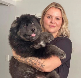 Illustration de l'article : La situation de chiots abandonnés dans un dépotoir enneigé semblait désespérée jusqu'à l'arrivée d'une association