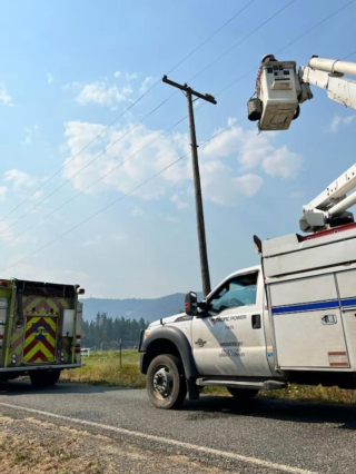 Illustration de l'article : Un chat bloqué au sommet d’un poteau électrique mobilise pompiers et compagnie d’électricité