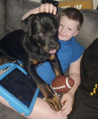 Illustration de l'article : Cette chienne détecte les soucis de santé de son jeune maître et parvient à lui sauver la vie