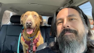 Illustration de l'article : Près de 5 ans après la disparition de son chien lors d'un road trip, un homme s'obstine à continuer d'espérer le revoir