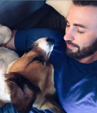 Illustration de l'article : 10 célébrités ayant ouvert leur cœur et leur foyer à des animaux en détresse