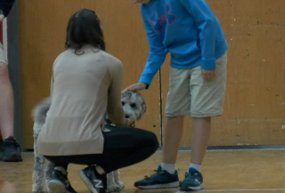 Illustration de l'article : Un chien de thérapie se rend aux cours d’éducation physique dans un collège pour motiver les élèves à participer