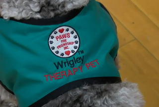 Illustration de l'article : Un chien de thérapie se rend aux cours d’éducation physique dans un collège pour motiver les élèves à participer