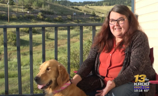 Illustration de l'article : Un drone permet de retrouver une chienne perdue depuis plus de 3 mois suite à un accident de voiture ! (vidéo)