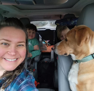 Illustration de l'article : Le long périple d'une famille pour offrir une nouvelle vie à un Husky au sourire asymétrique