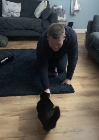 Illustration de l'article : Un bénévole pensait récupérer un chat décédé au bord de la route, mais reprend espoir en s’approchant de lui