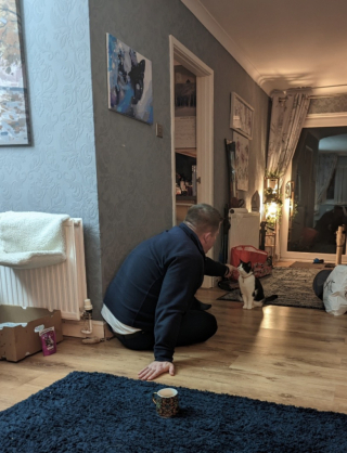 Illustration de l'article : Un bénévole pensait récupérer un chat décédé au bord de la route, mais reprend espoir en s’approchant de lui