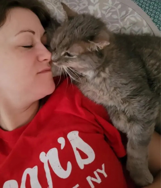 Illustration de l'article : Un chat n'ayant connu que l'errance et la peur se décide à changer radicalement d'existence