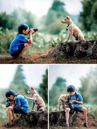 Illustration de l'article : 20 photos montrant comment les chiens propagent le bonheur autour d'eux