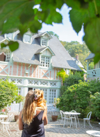 Illustration de l'article : 16 photos splendides de Tofu, la chienne amoureuse des fleurs et des randonnées