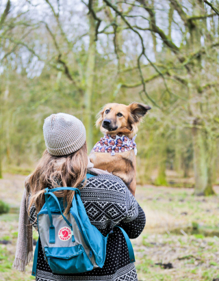 Illustration de l'article : 16 photos splendides de Tofu, la chienne amoureuse des fleurs et des randonnées