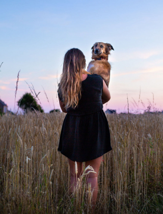 Illustration de l'article : 16 photos splendides de Tofu, la chienne amoureuse des fleurs et des randonnées