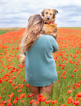 Illustration de l'article : 16 photos splendides de Tofu, la chienne amoureuse des fleurs et des randonnées