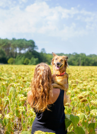 Illustration de l'article : 16 photos splendides de Tofu, la chienne amoureuse des fleurs et des randonnées