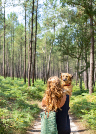 Illustration de l'article : 16 photos splendides de Tofu, la chienne amoureuse des fleurs et des randonnées