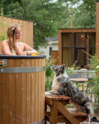 Illustration de l'article : 16 photos splendides de Tofu, la chienne amoureuse des fleurs et des randonnées