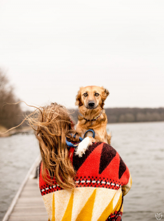 Illustration de l'article : 16 photos splendides de Tofu, la chienne amoureuse des fleurs et des randonnées