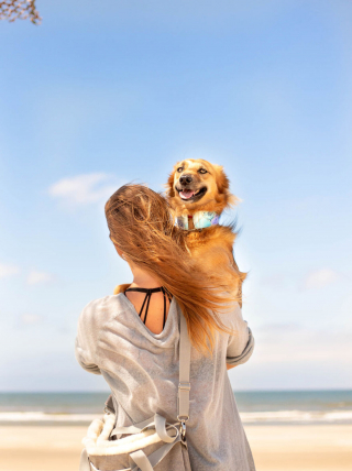 Illustration de l'article : 16 photos splendides de Tofu, la chienne amoureuse des fleurs et des randonnées