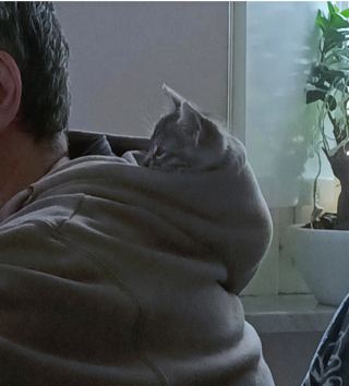 Illustration de l'article : 16 photos de papas qui ont craqué pour un animal alors qu'ils refusaient catégoriquement d'en avoir