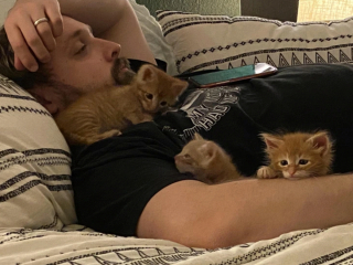 Illustration de l'article : 16 photos de papas qui ont craqué pour un animal alors qu'ils refusaient catégoriquement d'en avoir
