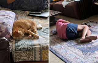 Illustration de l'article : 16 photos de papas qui ont craqué pour un animal alors qu'ils refusaient catégoriquement d'en avoir