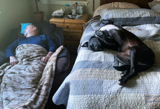Illustration de l'article : 16 photos de papas qui ont craqué pour un animal alors qu'ils refusaient catégoriquement d'en avoir