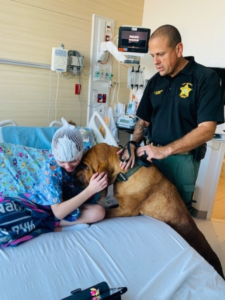 Illustration de l'article : Une jeune fille perdue en pleine tempête est retrouvée et sauvée par un chien
