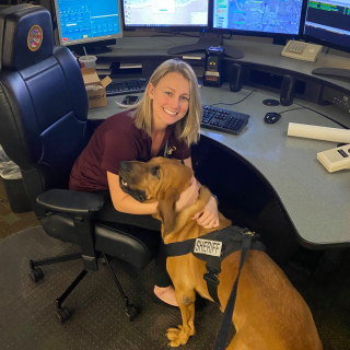 Illustration de l'article : Une jeune fille perdue en pleine tempête est retrouvée et sauvée par un chien