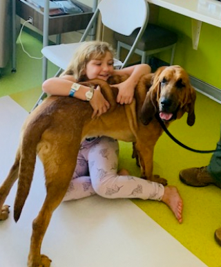 Illustration de l'article : Une jeune fille perdue en pleine tempête est retrouvée et sauvée par un chien