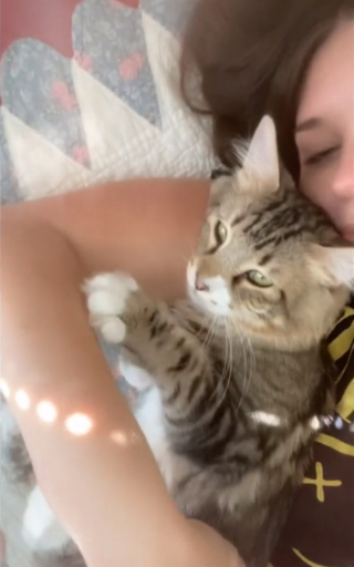 Illustration de l'article : Un chat de refuge longtemps ignoré se voit enfin accorder une chance (vidéo)