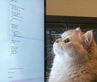 Illustration de l'article : 20 chats dont l'attitude étrange nous amène à penser qu'ils viennent d'une autre galaxie