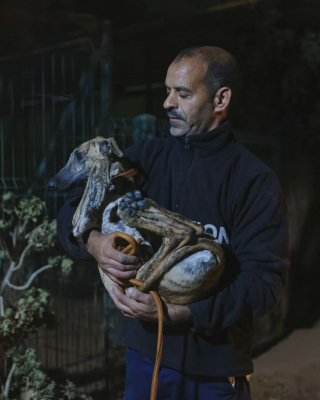 Illustration de l'article : 17 photos capturant l'émouvant moment où chiens de refuge et bénévoles qui les ont sauvés se disent au revoir