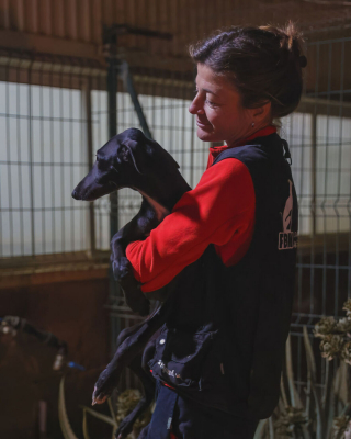 Illustration de l'article : 17 photos capturant l'émouvant moment où chiens de refuge et bénévoles qui les ont sauvés se disent au revoir