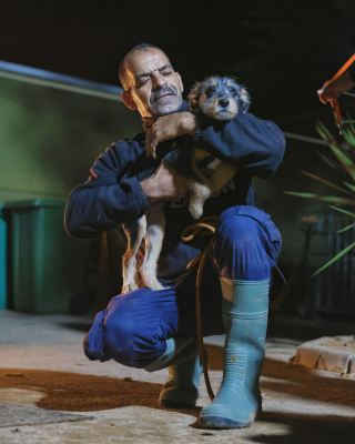 Illustration de l'article : 17 photos capturant l'émouvant moment où chiens de refuge et bénévoles qui les ont sauvés se disent au revoir