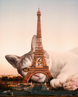 Illustration de l'article : 20 photomontages où des chats colossaux dominent le monde