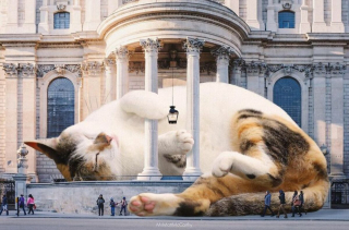 Illustration de l'article : 20 photomontages où des chats colossaux dominent le monde