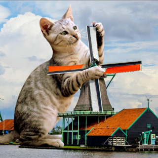 Illustration de l'article : 20 photomontages où des chats colossaux dominent le monde